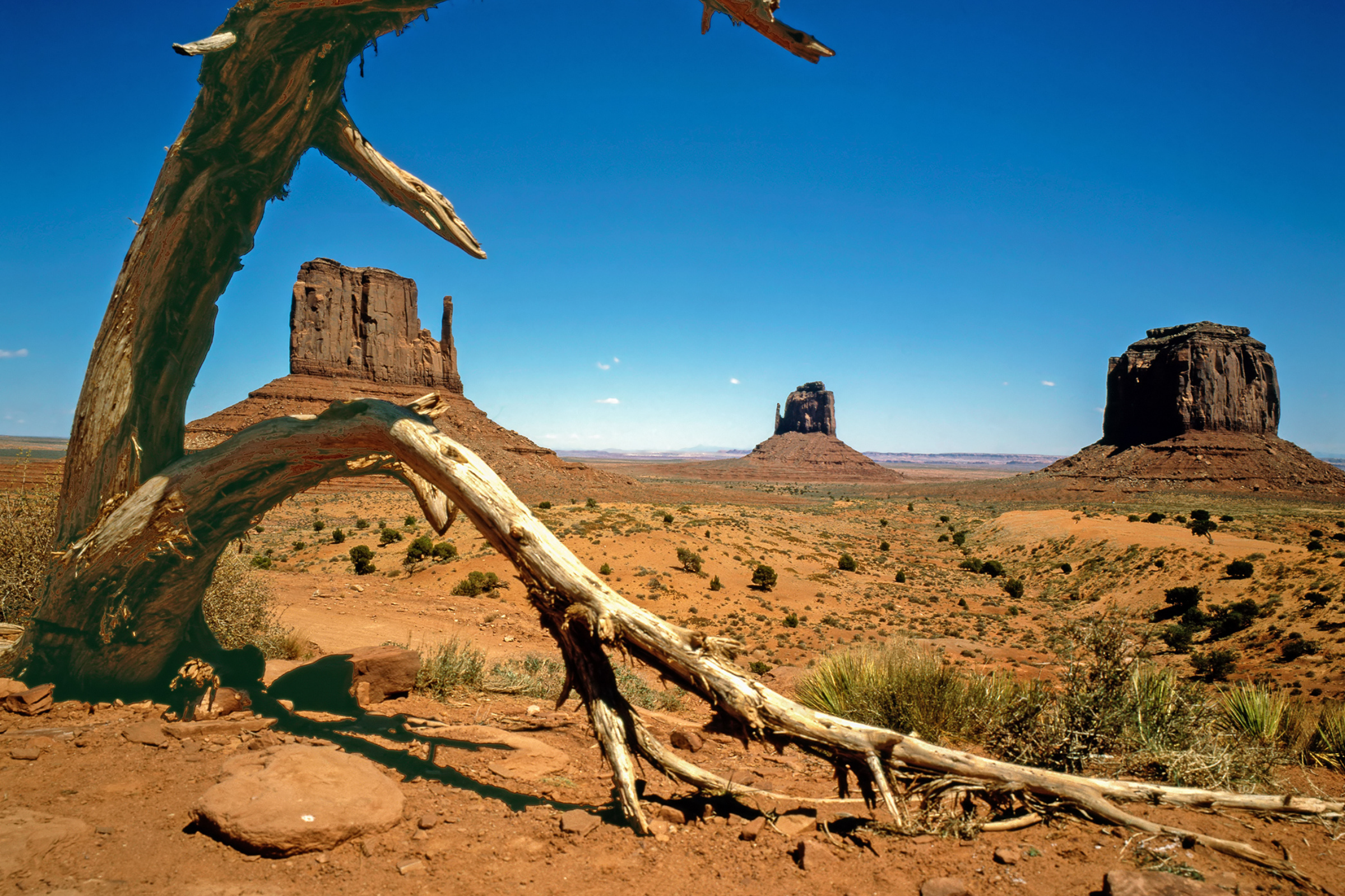 monument valley, arizona (3).webp